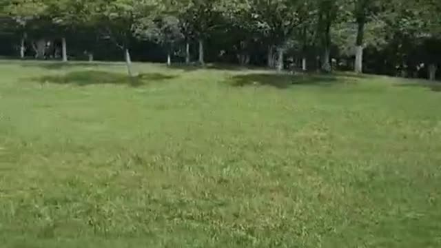 passing by after get off work