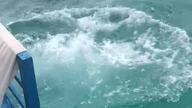 This Woman knows How to Dive!