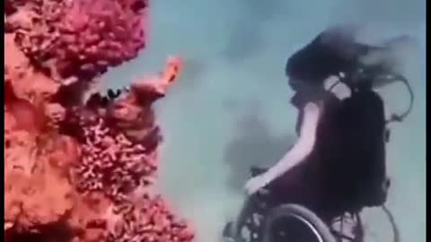 WoW..💖💖💖💕👍👍👍