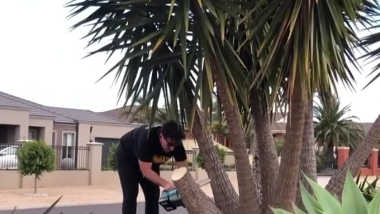 Testing aCordless Makita 300mm Chainsaw