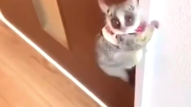 don't look until the end