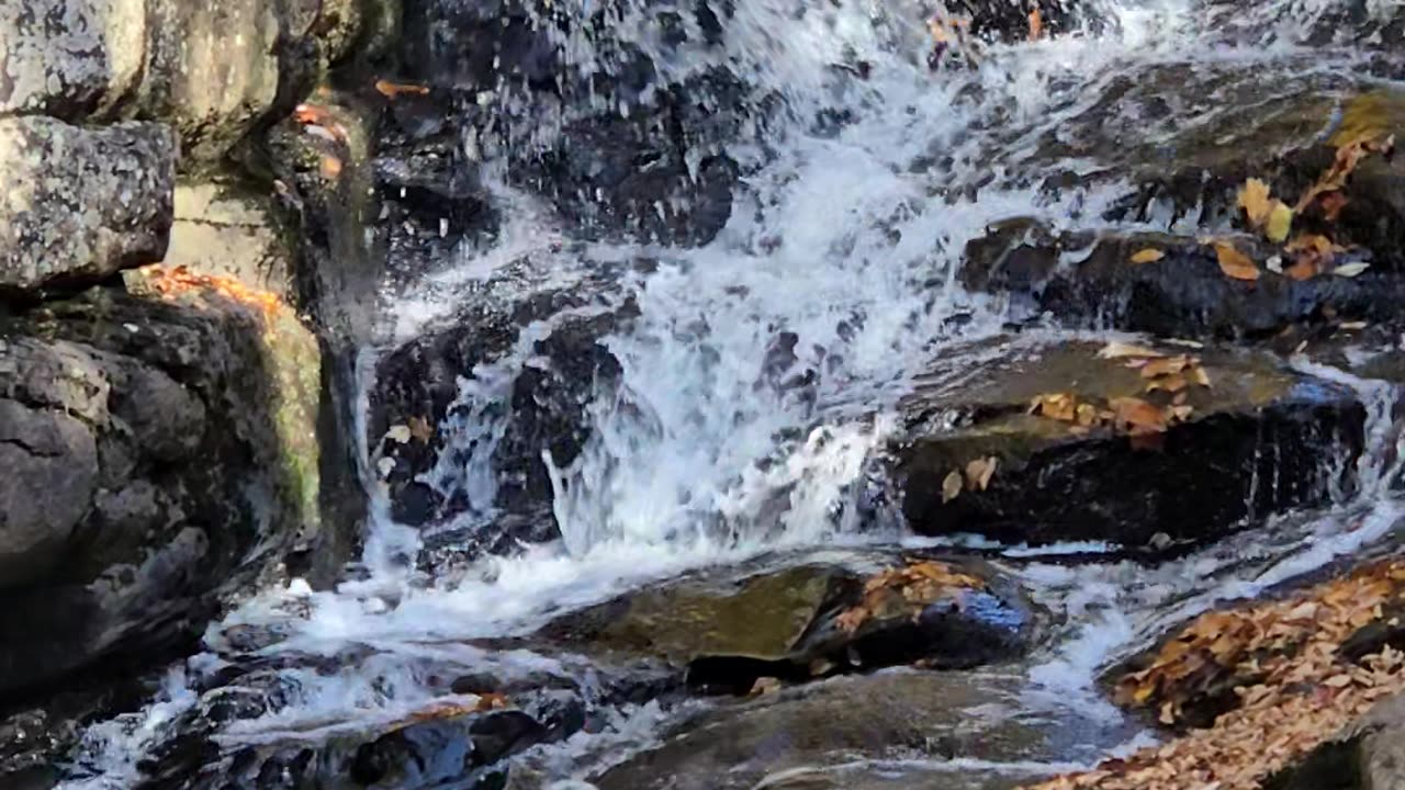 Whisky brook Falls