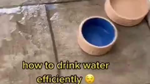 how to drink water efficiently