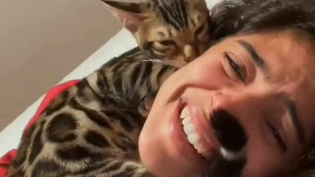 how to cat sharat funny moment cat