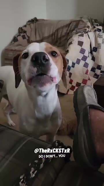 You know you wanna play