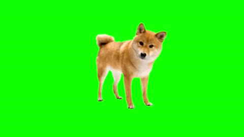 Greenscreen