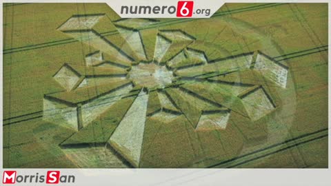 Intervista ad Adriano Forgione: si possono interpretare i cerchi nel grano?