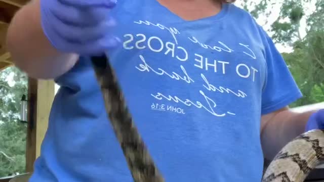 This mom Skins a rattlesnake for the first time