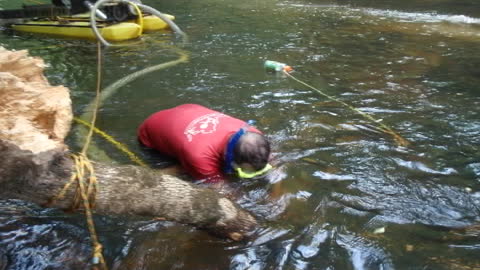 VA Gold On the Creek Slate River June 2008 2