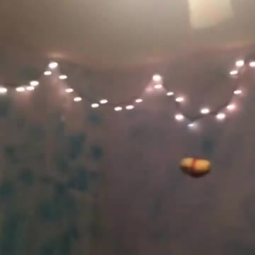 Original _ A potato flew around my room before you came