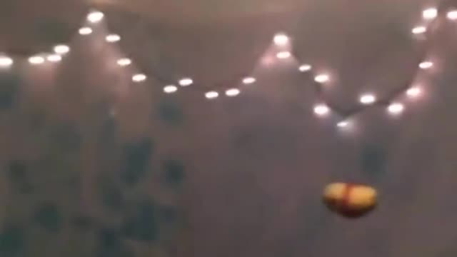 Original _ A potato flew around my room before you came