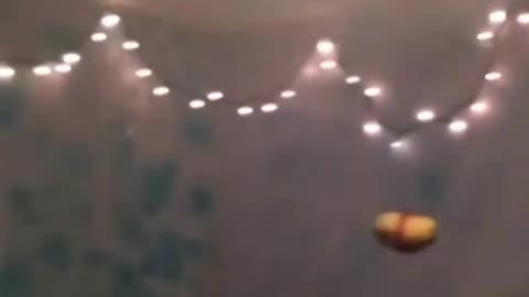Original _ A potato flew around my room before you came
