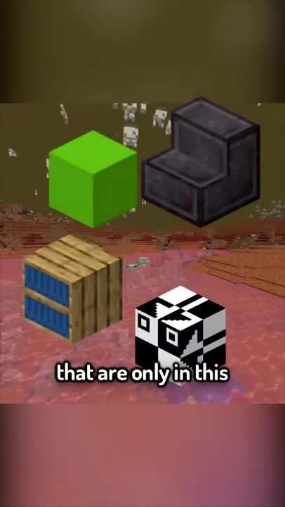 MINECRAFT / The secret Block #Shorts13