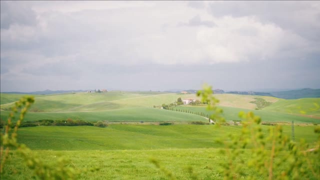 view of the green field italian landscape with spring meadow
