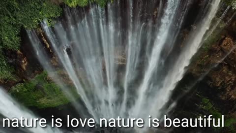 Nature lover,,,,,