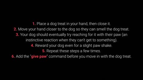 Dog training basic commands