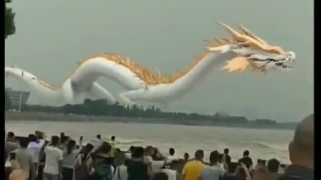 Tik tok chinese dragon competition