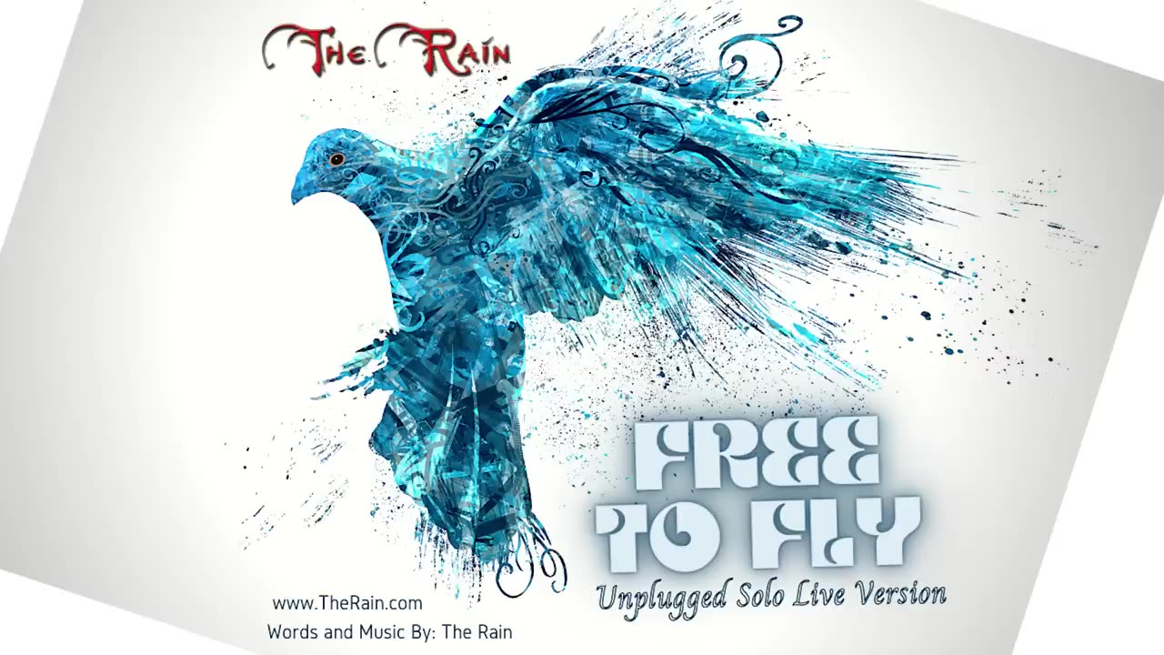 Free To Fly - Live Solo Unplugged