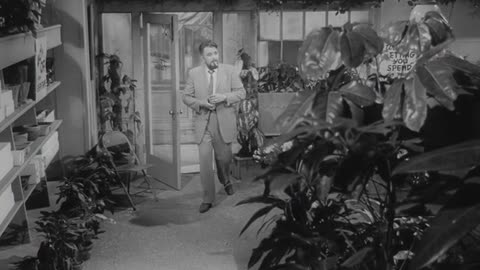 The Little Shop of Horrors (1960) - Full Movie