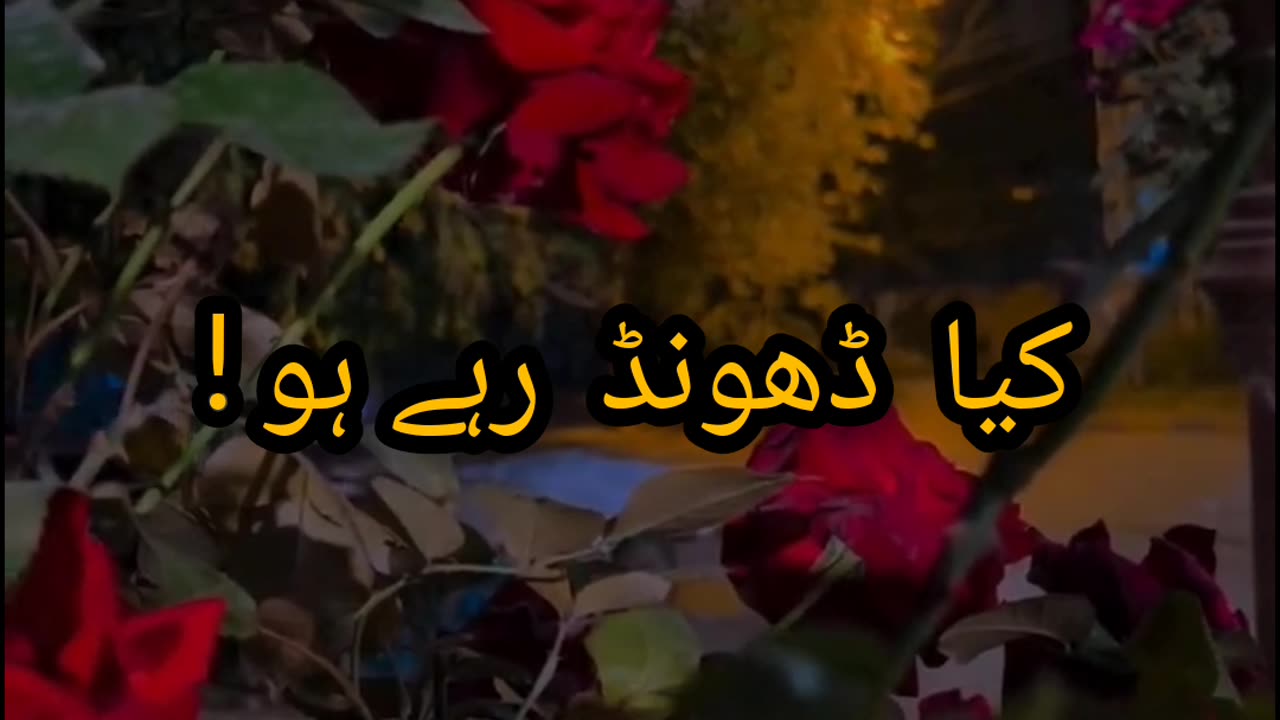 Sad Shayari status||Rose shayari||WhatsApp Status ❤️