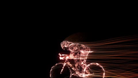 Race bike