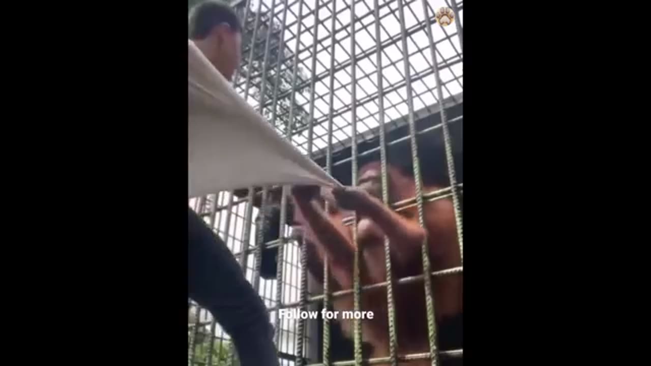 Funny videos 😂😂😂