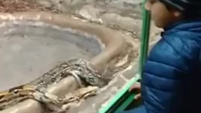 Snake Zoo Helsinki🤫😱😲😱 #shorts #short #youtubeshorts #youtube