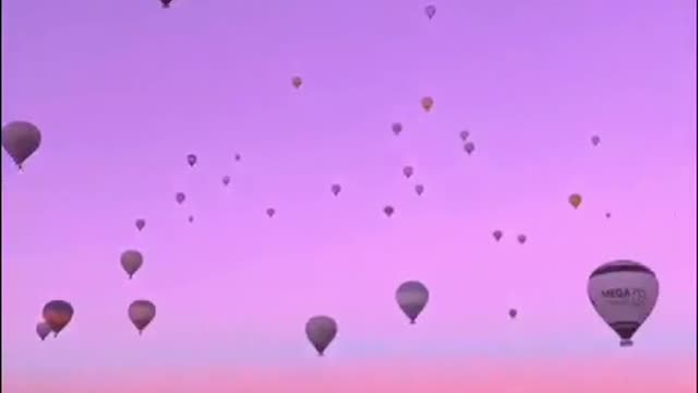 many hot air balloons