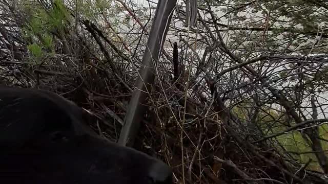 Motorcycle Ride-Caught in Windstorm