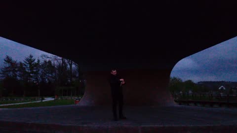Ego Vox