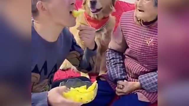 So sweet puppy