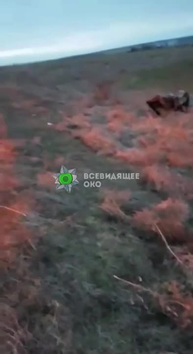 Burning Russian Trucks Near Kherson