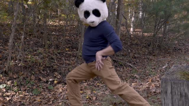 Man silly dancing and celebrating with a panda head mask while outside in a park - slow motion