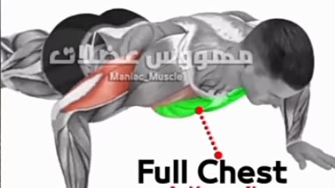 5 chest exercise at home to build your chest in 10 minutes. No equipment needed