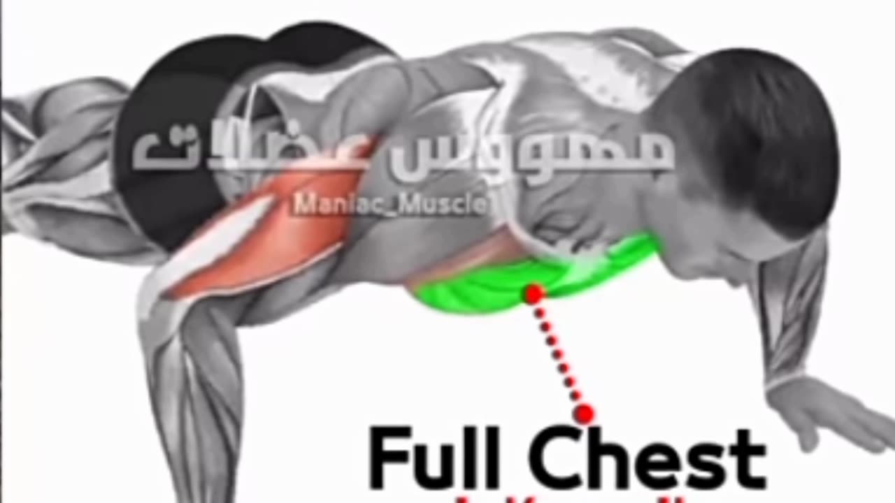 5 chest exercise at home to build your chest in 10 minutes. No equipment needed