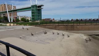 Hanging Out By The Mississippi River In Davenport, Iowa.