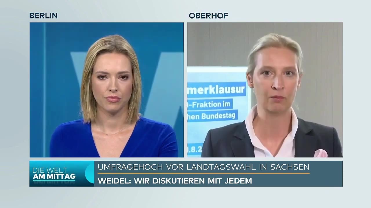 Alice Weidel WÜTEND im WELT-Interview- Abrechnung mit CDU und FDP