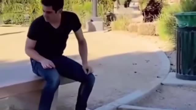 Can you take out your trash like that