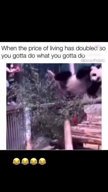 Magic Fluffy Mike 😆🤣😂