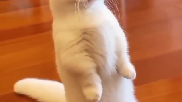 How can I help you officer?
