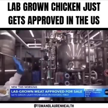 Lab grown chicken just gets approved in The US