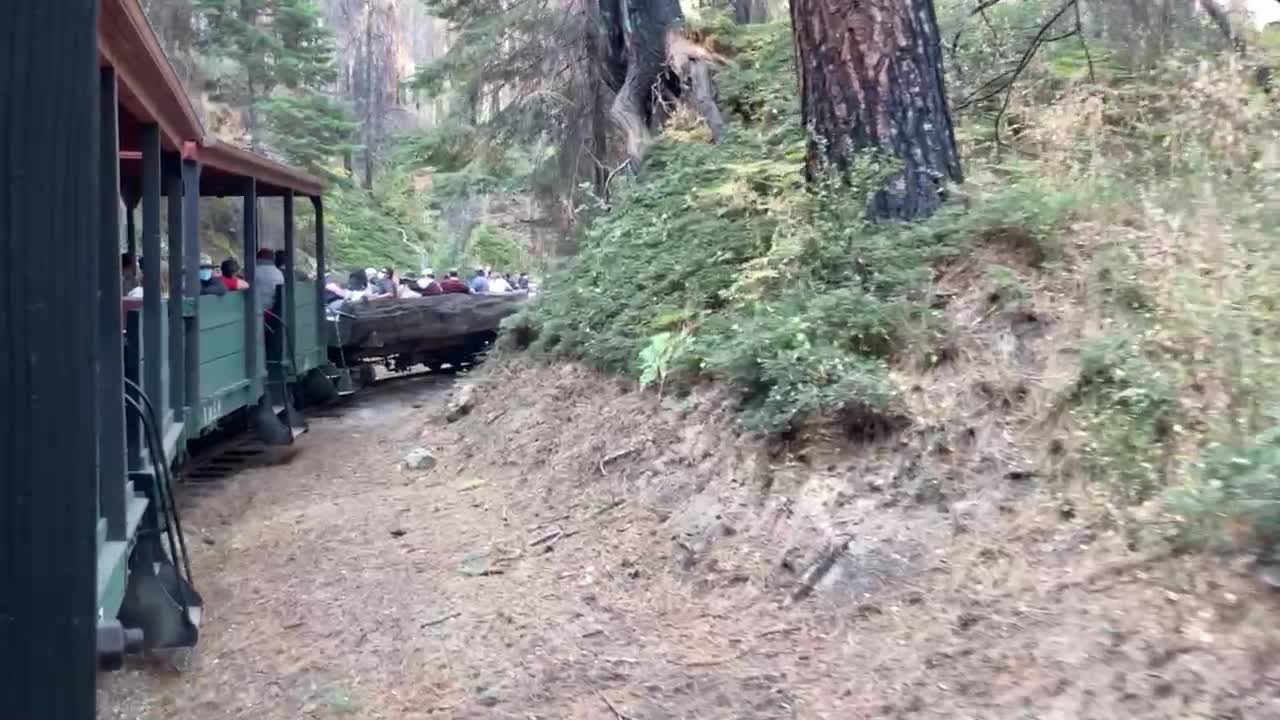 Riding the Yosemite Train