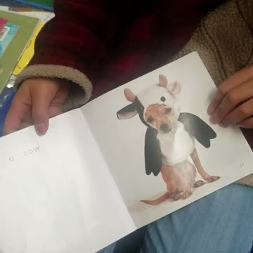 My daughter brought me to school with her that one time.