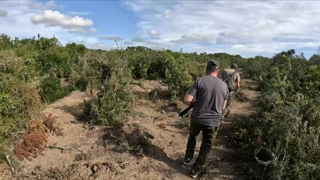 ZEBRA ALMOST STEPPED ON US ! Hunting in South Africa - Day 1 !