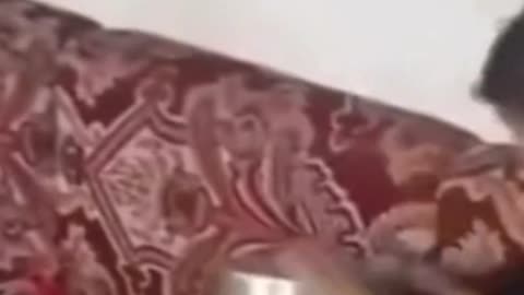 Bau
