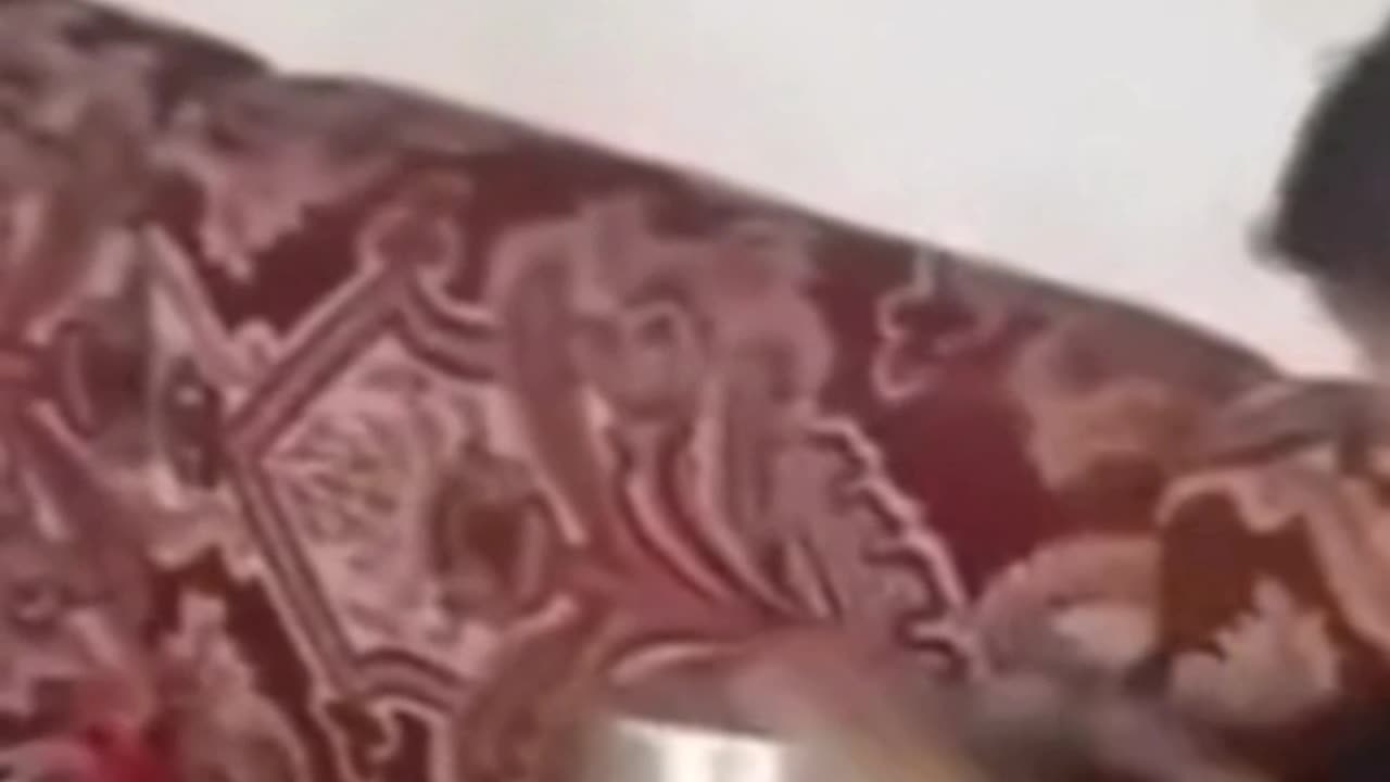 Bau