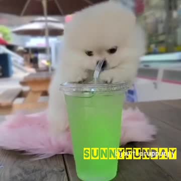 I love fruit juices.