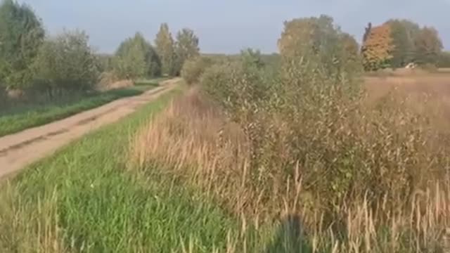 nature