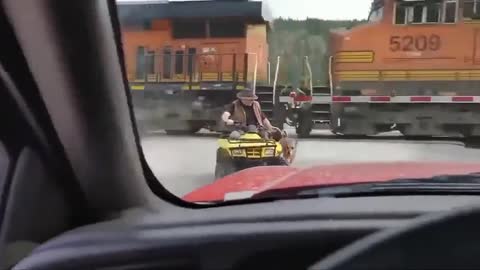 This dude puts his dogs' life at risk for the 'stunt'
