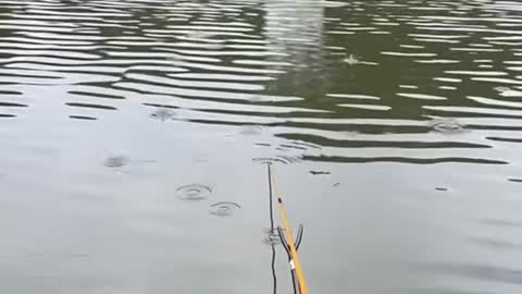 Fishing